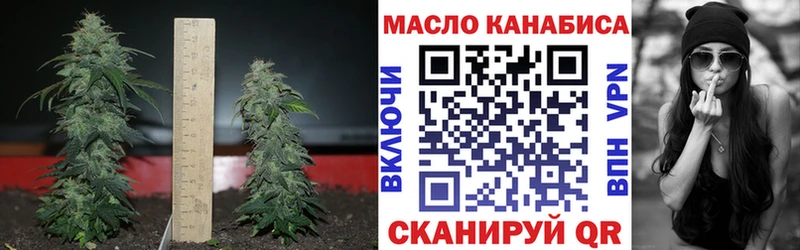 наркошоп  Костомукша  shop Telegram  Дистиллят ТГК Wax 